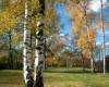 <b>Название: </b>34, 
<b>Добавил:<b> boss<br>Размеры: 1600x1063, 
444.0 Кб